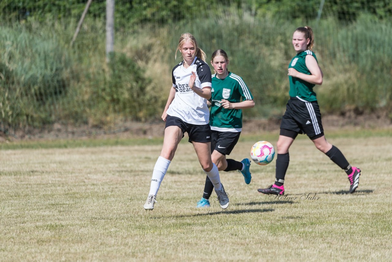 Bild 250 - wBJ TuRa Meldorf/Buesum - JFV Luebeck : Ergebnis: 1:0